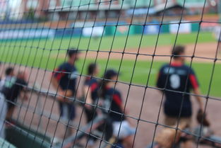 穆雷与90激战加拿大队分钟，夺冠胜负难料！，科维托娃焦点对战赛场气氛高涨