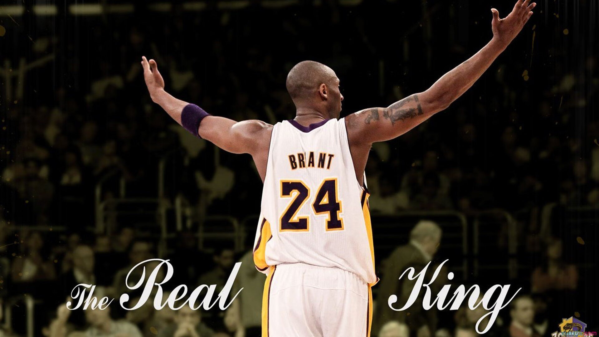 科维托娃回归赛场，势不可挡首场状态亮眼，加拿大队观众沸腾！